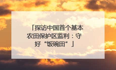 探访中国首个基本农田保护区监利：守好“饭碗田”