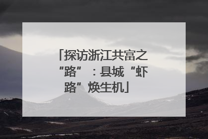 探访浙江共富之“路”：县城“虾路”焕生机