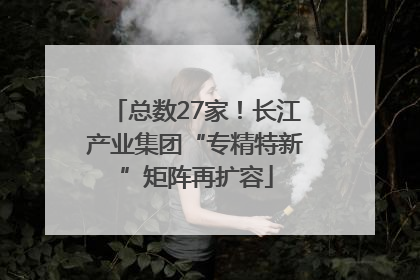 总数27家！长江产业集团“专精特新”矩阵再扩容