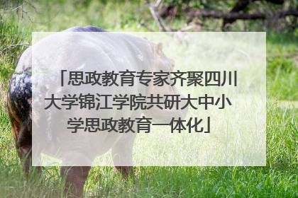 思政教育专家齐聚四川大学锦江学院共研大中小学思政教育一体化
