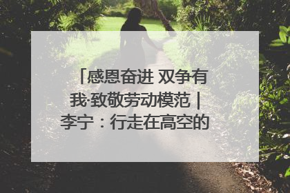 感恩奋进 双争有我·致敬劳动模范｜李宁：行走在高空的“电网卫士”