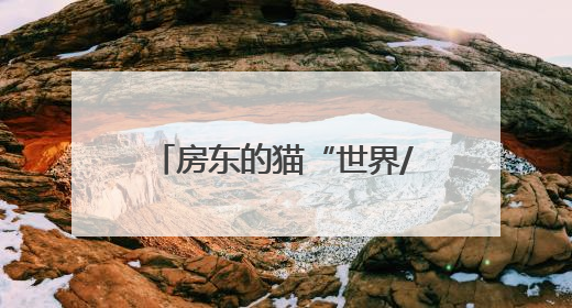 房东的猫“世界/青年”演唱会济南站来了！济南公交开通6条歌迷定制专线