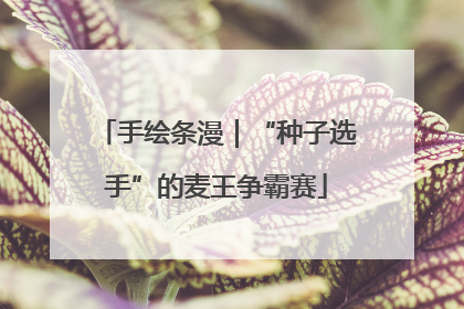 手绘条漫｜“种子选手”的麦王争霸赛