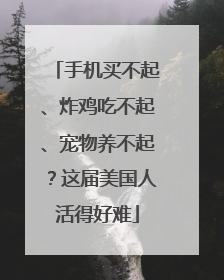 手机买不起、炸鸡吃不起、宠物养不起？这届美国人活得好难