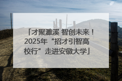 才聚濉溪 智创未来！2025年“招才引智高校行”走进安徽大学
