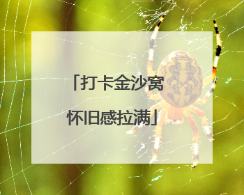 打卡金沙窝 怀旧感拉满