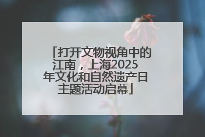 打开文物视角中的江南，上海2025年文化和自然遗产日主题活动启幕