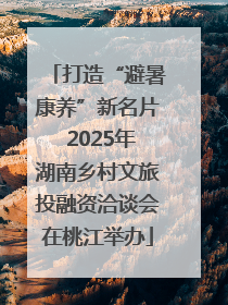 打造“避暑康养”新名片 2025年湖南乡村文旅投融资洽谈会在桃江举办