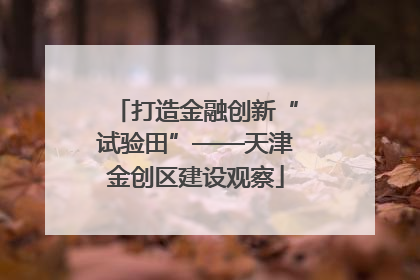 打造金融创新“试验田”——天津金创区建设观察