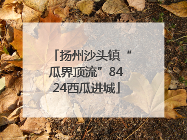 扬州沙头镇“瓜界顶流”8424西瓜进城