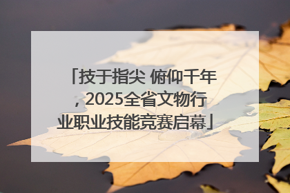 技于指尖 俯仰千年，2025全省文物行业职业技能竞赛启幕