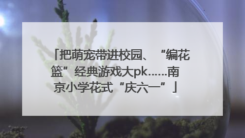 把萌宠带进校园、“编花篮”经典游戏大pk……南京小学花式“庆六一”