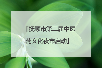 抚顺市第二届中医药文化夜市启动