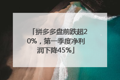 拼多多盘前跌超20%，第一季度净利润下降45%