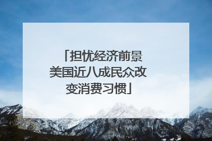 担忧经济前景 美国近八成民众改变消费习惯