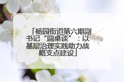 杨园街道第六期副书记“圆桌谈”：以基层治理实践助力战略支点建设