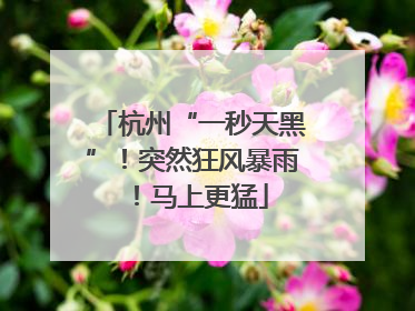 杭州“一秒天黑”！突然狂风暴雨！马上更猛