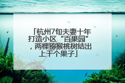杭州7旬夫妻十年打造小区“百果园”，两棵猕猴桃树结出上千个果子