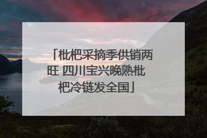 枇杷采摘季供销两旺 四川宝兴晚熟枇杷冷链发全国