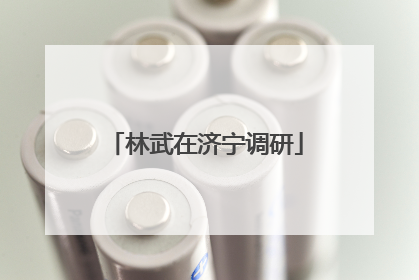 林武在济宁调研
