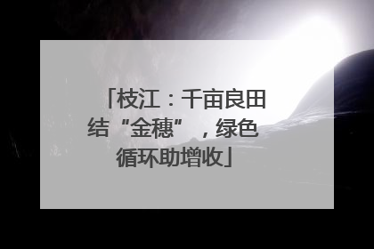 枝江：千亩良田结“金穗”，绿色循环助增收