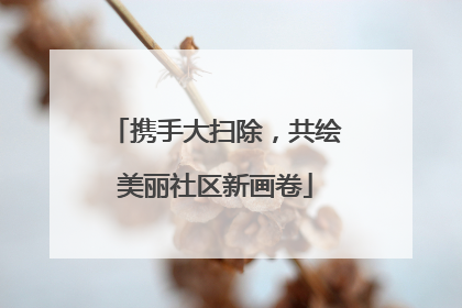 携手大扫除，共绘美丽社区新画卷
