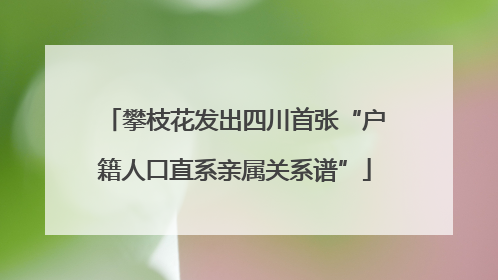 攀枝花发出四川首张“户籍人口直系亲属关系谱”