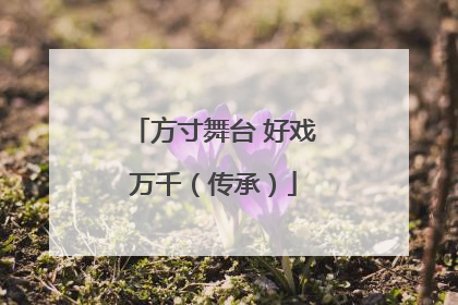方寸舞台 好戏万千（传承）