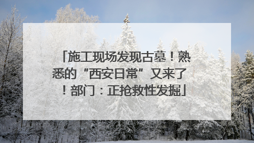 施工现场发现古墓！熟悉的“西安日常”又来了！部门：正抢救性发掘