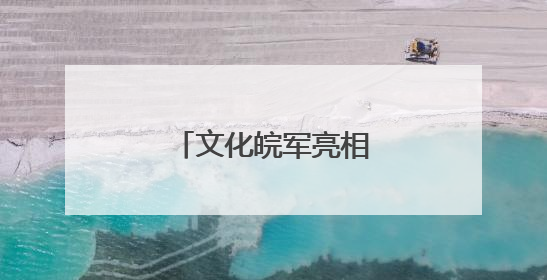 文化皖军亮相深圳文博会