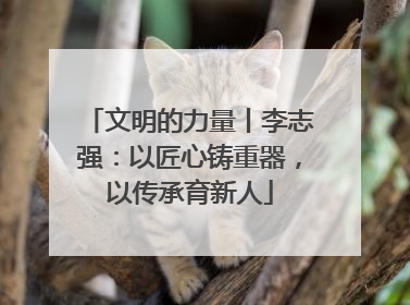 文明的力量丨李志强：以匠心铸重器，以传承育新人