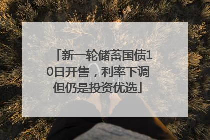 新一轮储蓄国债10日开售，利率下调但仍是投资优选