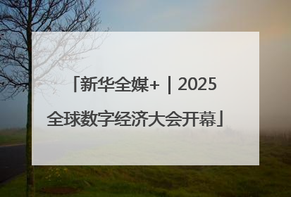 新华全媒+｜2025全球数字经济大会开幕