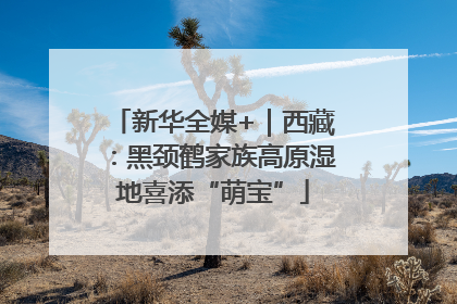 新华全媒+｜西藏：黑颈鹤家族高原湿地喜添“萌宝”