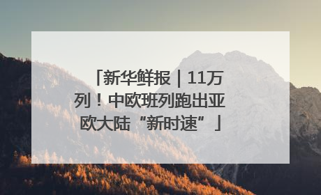 新华鲜报｜11万列！中欧班列跑出亚欧大陆“新时速”
