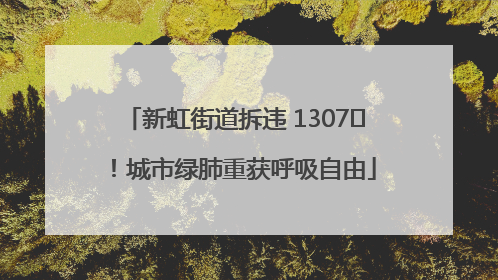 新虹街道拆违 1307㎡！城市绿肺重获呼吸自由