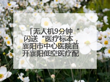 无人机9分钟“闪送“医疗标本，襄阳市中心医院首开襄阳低空医疗配送“空中快
