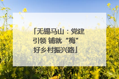 无锡马山：党建引领 铺就“梅”好乡村振兴路