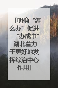 明确“怎么办”促进“办成事” 湖北着力于更好地发挥综治中心作用