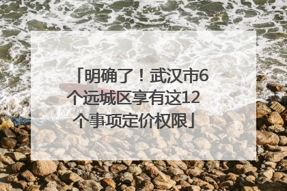 明确了！武汉市6个远城区享有这12个事项定价权限