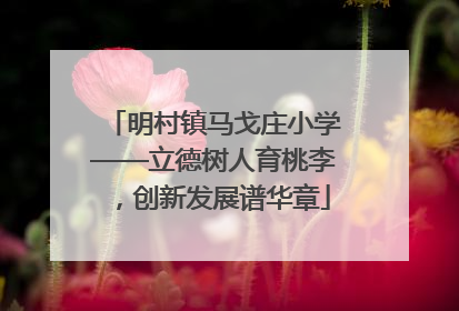 明村镇马戈庄小学——立德树人育桃李，创新发展谱华章