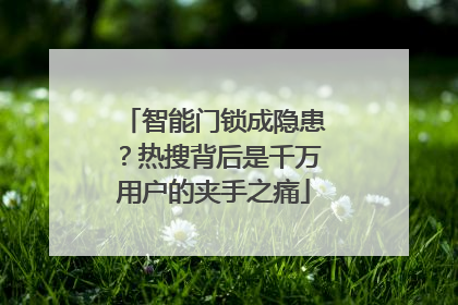 智能门锁成隐患？热搜背后是千万用户的夹手之痛