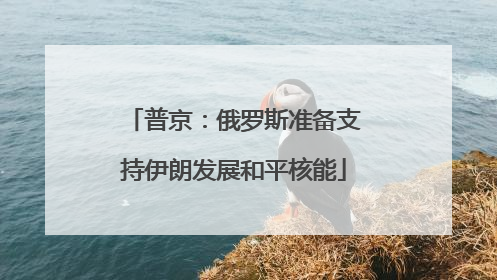 普京：俄罗斯准备支持伊朗发展和平核能
