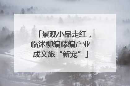 景观小品走红，临沭柳编藤编产业成文旅“新宠”
