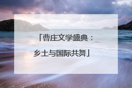 曹庄文学盛典：乡土与国际共舞
