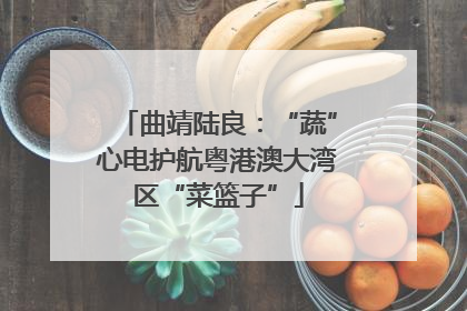曲靖陆良：“蔬”心电护航粤港澳大湾区“菜篮子”