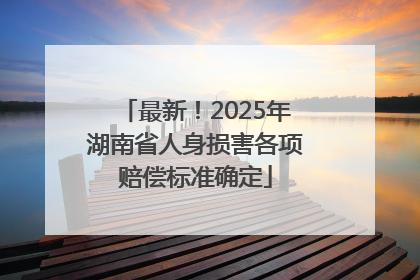 最新！2025年湖南省人身损害各项赔偿标准确定
