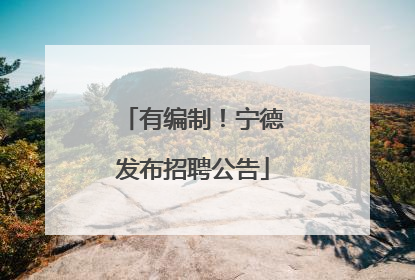 有编制！宁德发布招聘公告