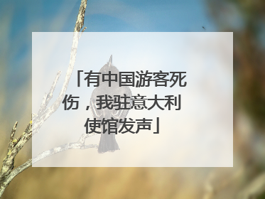 有中国游客死伤，我驻意大利使馆发声