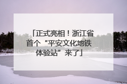 正式亮相！浙江省首个“平安文化地铁体验站”来了